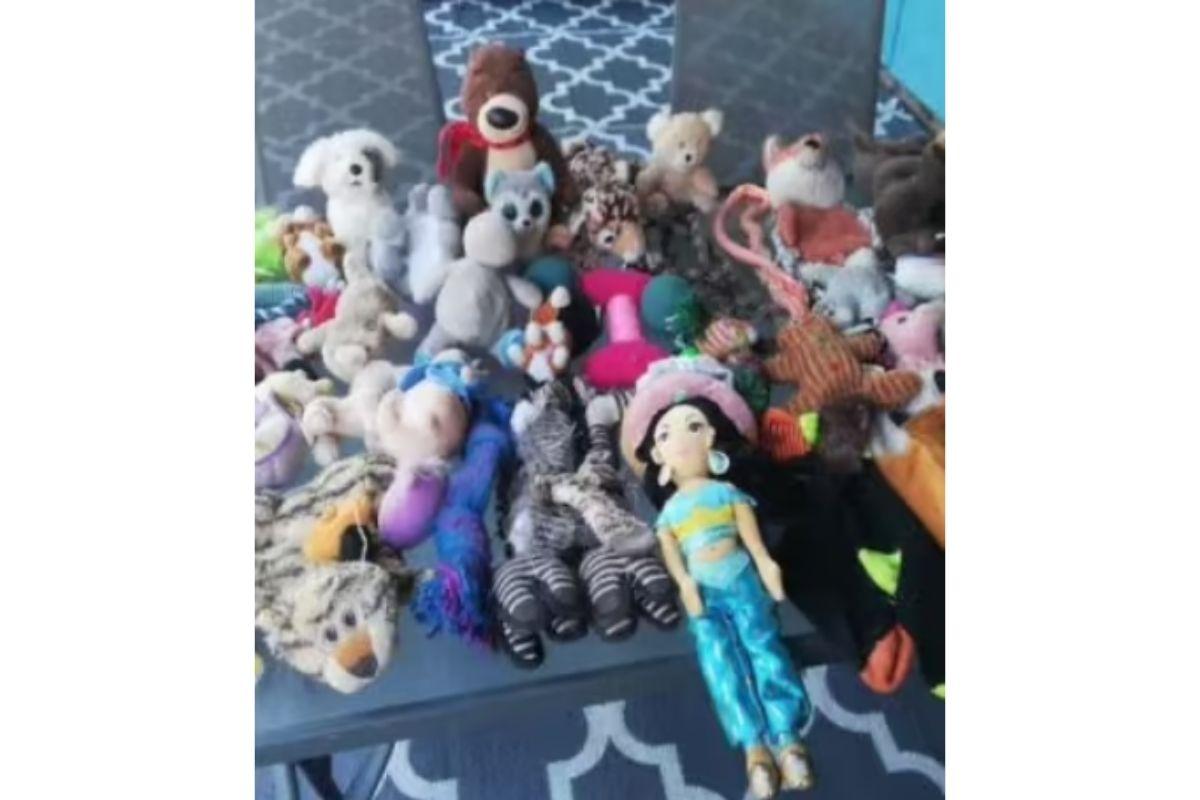 Gato rouba brinquedo dos vizinhos