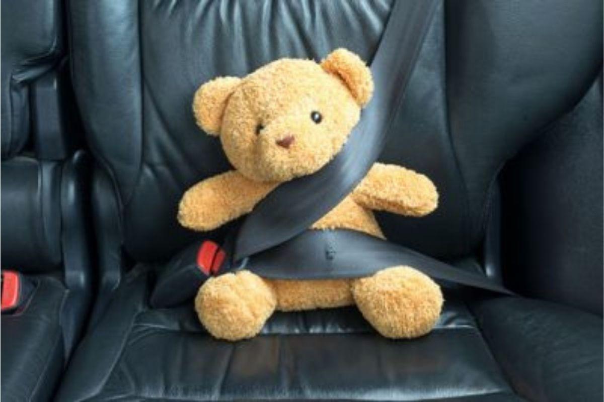 Cadeirinha para carro e bebê conforto: saiba qual comprar