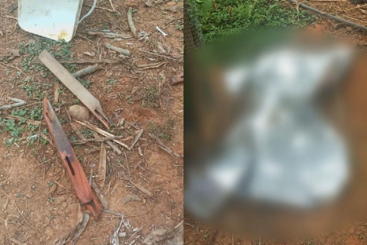 Os irmãos usaram pedaços de pau para matar o pai