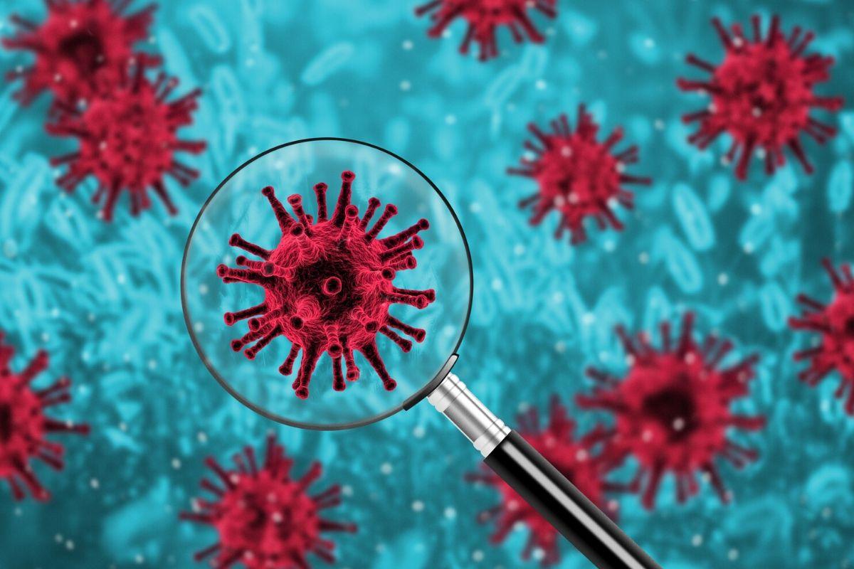As informações sobre a dengue se perderam em meio a pandemia da covid-19