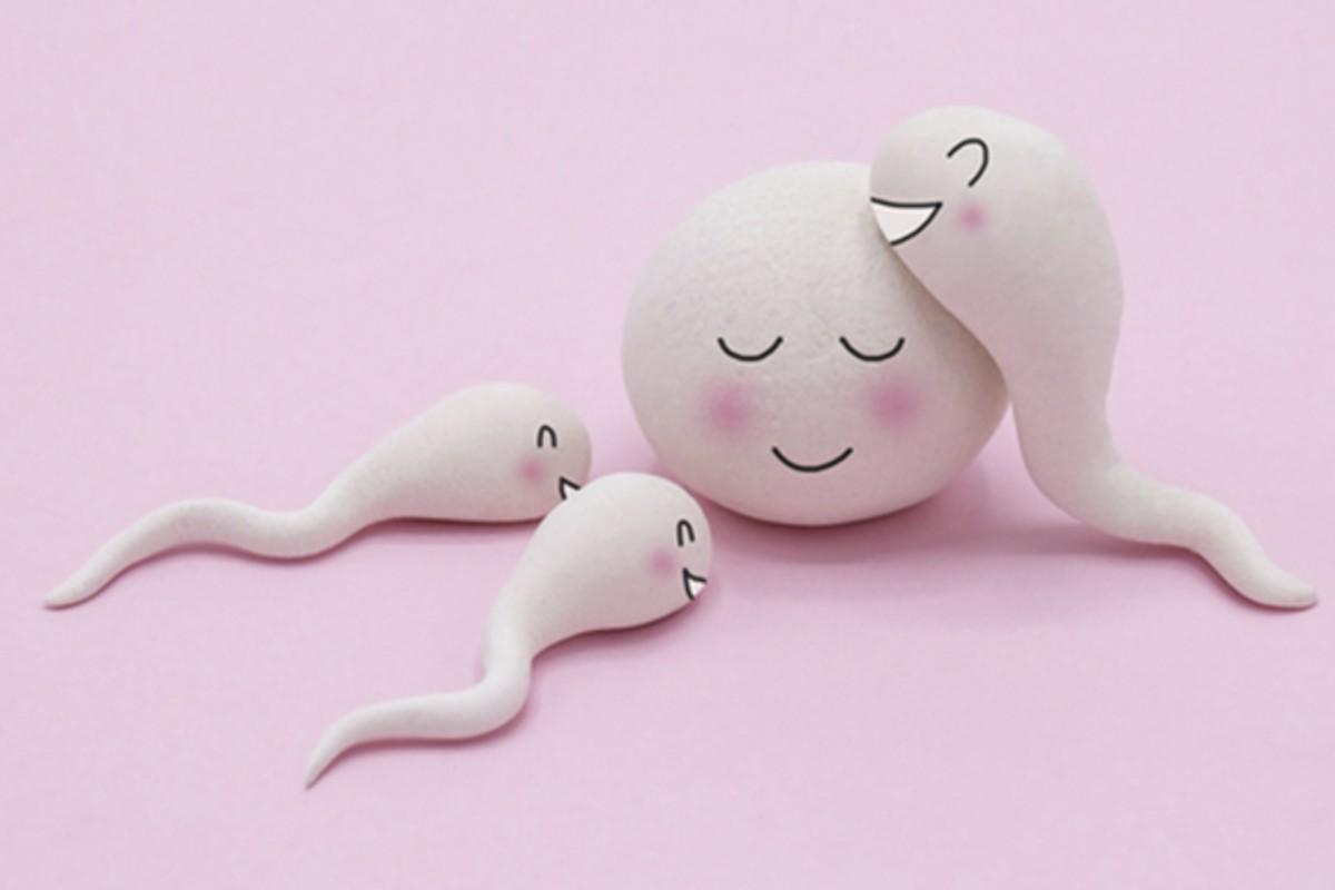 Pais fazem fertilização in vitro para gerar um doador de medula óssea para o filho