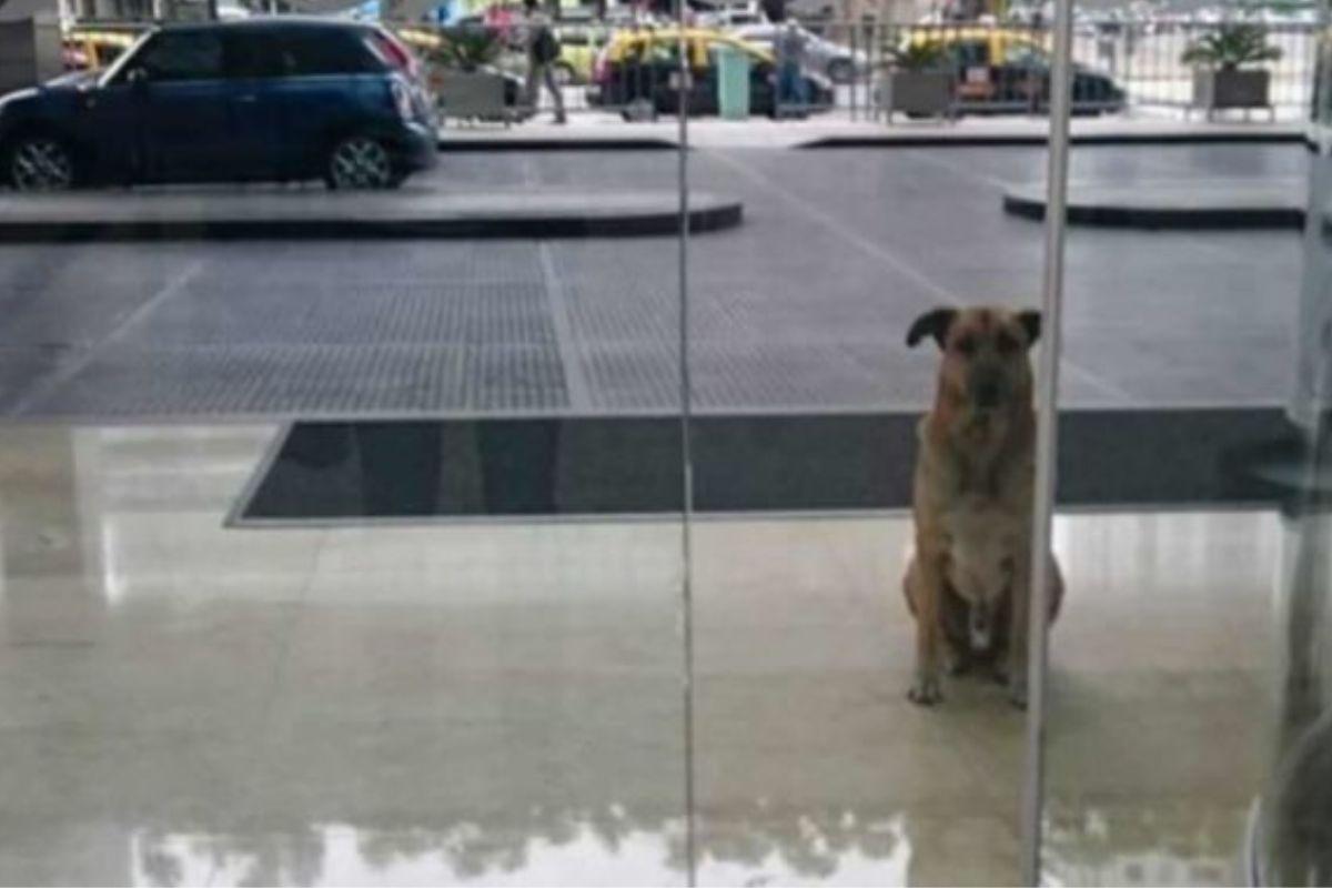Rubio esperando na frente do hotel