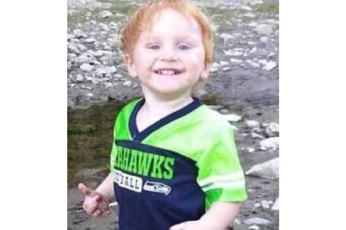 Um menino de 4 anos desapareceu na floresta e foi encontrado após dois dias