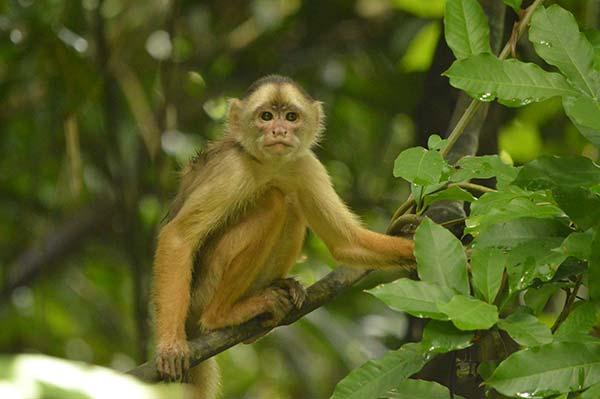 A natureza está de olho em você