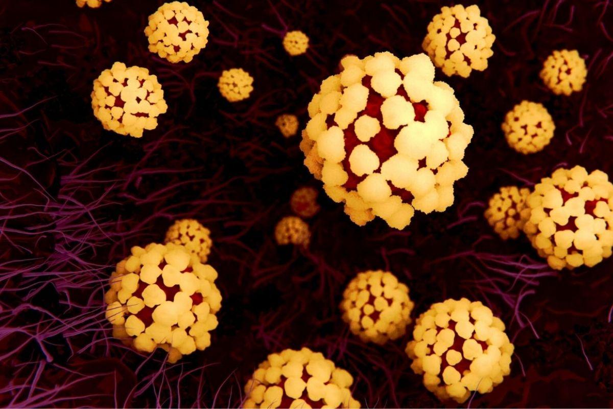 A pesquisa indicou uma "superimunidade"