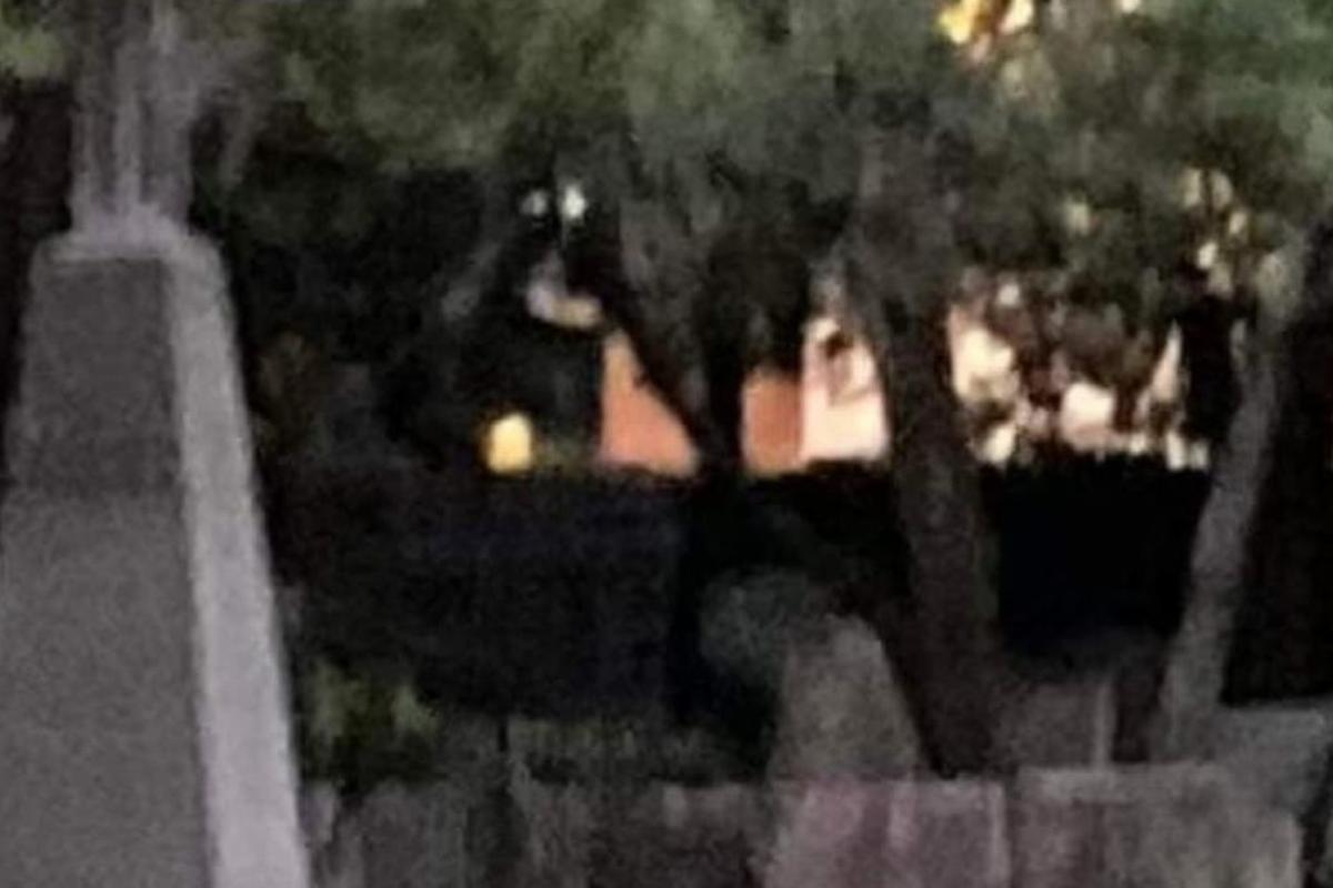 Foto de 2022 captura fantasma de mãe que faleceu durante o parto