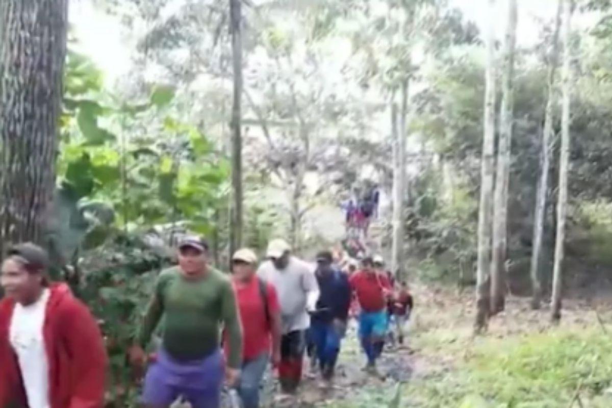 Crianças de 6 e 8 anos ficam mais de 20 dias perdidas na Floresta Amazônica se alimentando apenas com água da chuva