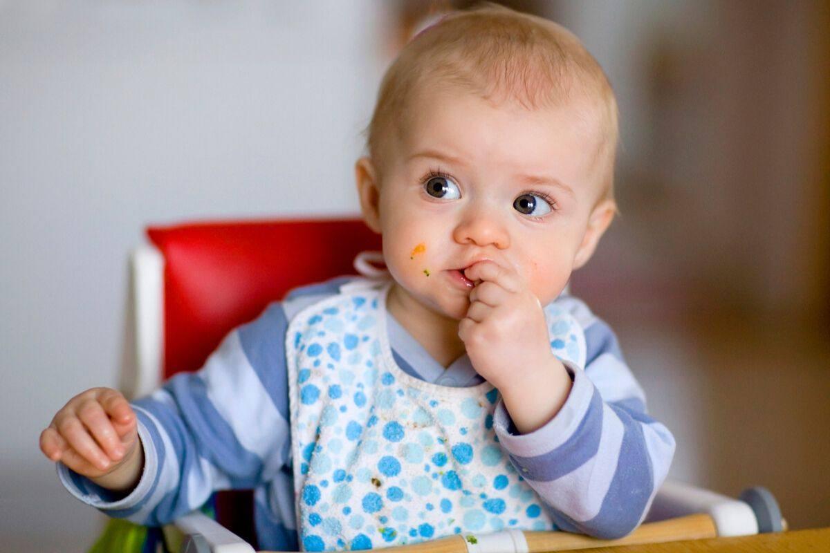 Criança pode comer bolacha? Conheça 13 alimentos não recomendados antes dos dois anos