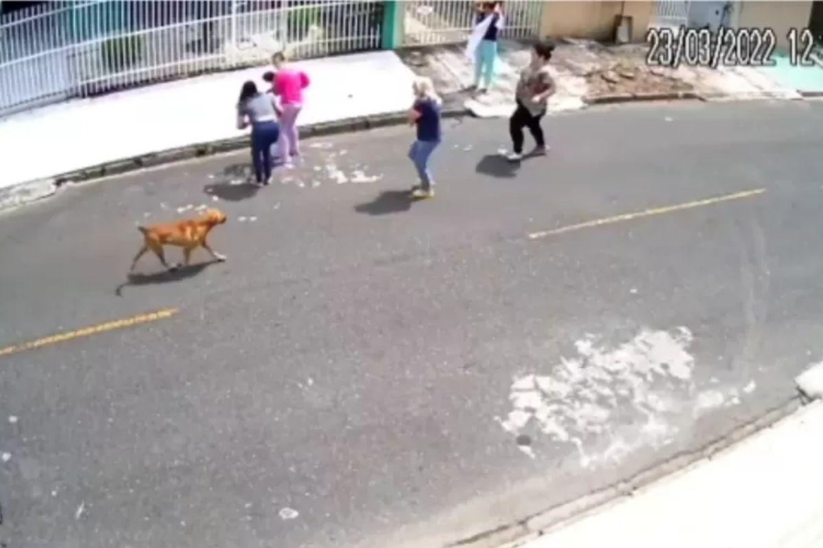 A PM teve uma ação rápida que salvou a vida da bebê