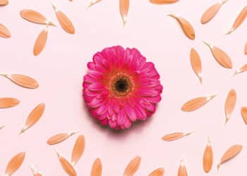 Colo do útero: a importância e cuidados necessários na gravidez