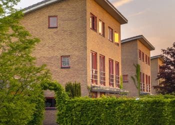 Decoração e proteção! 5 plantas para cercas vivas