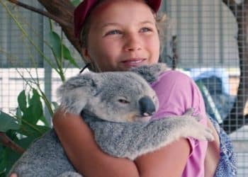 A encantadora de coalas, a jovem que salva vidas e inspira o mundo