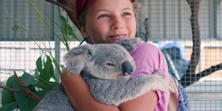 A encantadora de coalas, a jovem que salva vidas e inspira o mundo