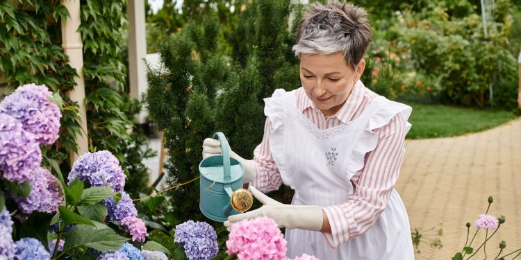 O encanto da Hortênsia, uma flor para todos os gostos!