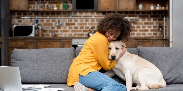 Cuidados essenciais para segurança do seu Pet