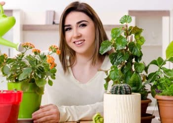 Sem tempo e espaço? Conheça 6 plantas de baixa manutenção
