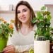 Sem tempo e espaço? Conheça 6 plantas de baixa manutenção
