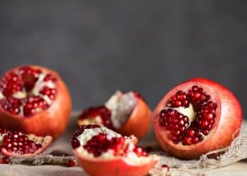 Guia completo para cultivar Romãs no seu jardim