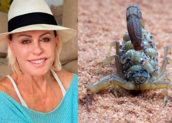 Ana Maria Braga é internada após pisar em escorpião: veja o que aconteceu