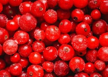 Anemia pós-parto: descubra os sintomas e tratamentos indicados