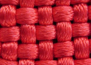 Assoalho pélvico: estudo mostra a importância dos cuidados no pós-parto