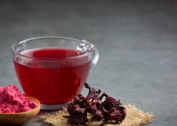 Chá de hibisco: benefícios para pressão arterial, perda de peso