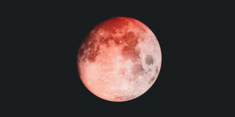 (Foto: Unsplash)