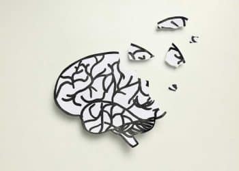 Estresse pode alterar células cerebrais e mudar suas decisões, diz pesquisa