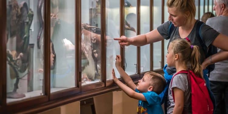 Explorando o mundo, as cidades culturais ideais para famílias apaixonadas por arte
