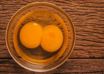 Gêmeos univitelinos e bivitelinos: entenda diferenças e semelhanças