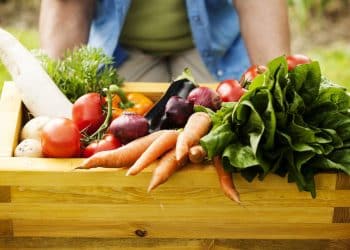 Como iniciar uma horta? dicas essenciais para o cultivo