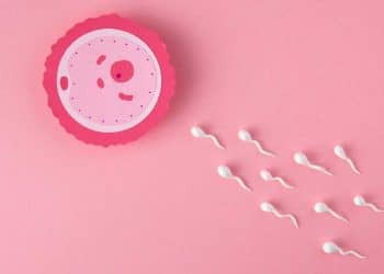 Fertilização: IA revela segredo da união entre óvulo e espermatozoide