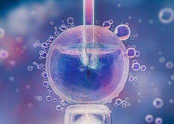 Congelamento de óvulos: qual a idade limite para engravidar?