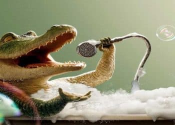 Lalalala! Uma aventura musical de medos e sonhos