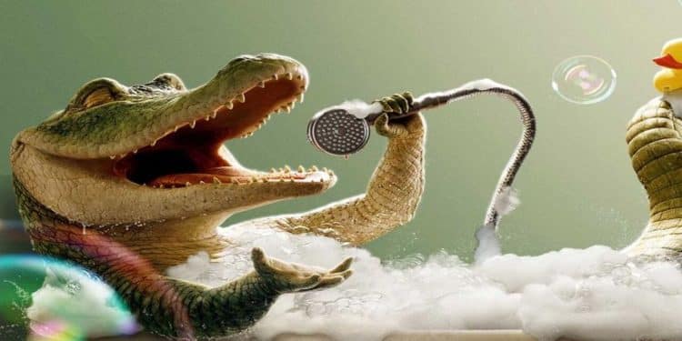 Lalalala! Uma aventura musical de medos e sonhos
