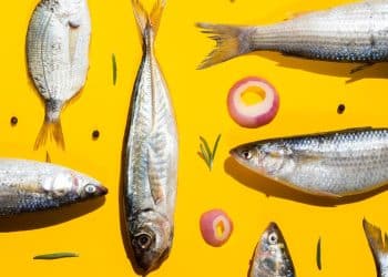 Quais tipos de peixes as grávidas podem comer?