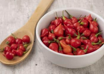 Pimenta biquinho, sabor suave e benefícios para a saúde