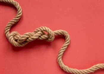 Prisão de ventre na gravidez: como aliviar com alimentação e hábitos saudáveis