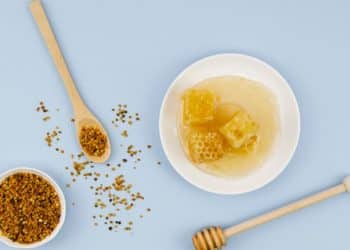 Própolis: o superpoder natural das abelhas