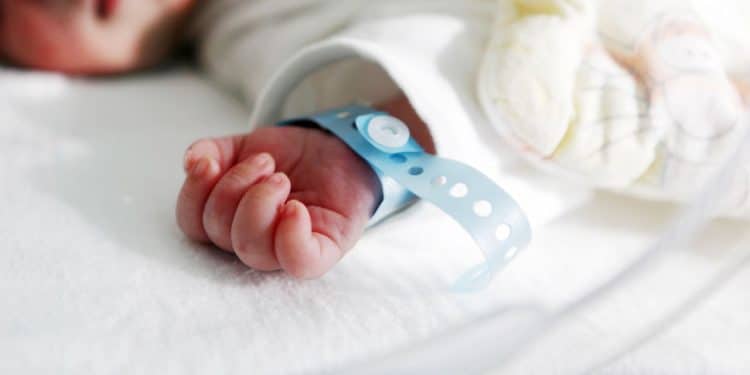 Nascidos para brilhar? Datas de nascimento ligadas a inteligência