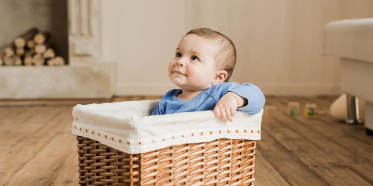 Bebe dentro de um cesto - Créditos: depositphotos.com / NatashaFedorova