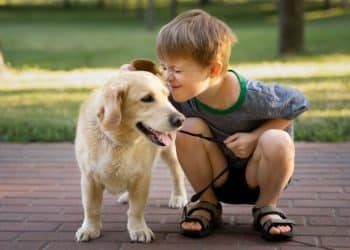 Heroína! Cachorra ajuda a salvar criança desaparecida com comportamento inusitado