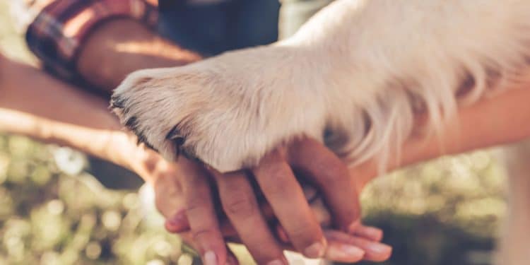 (Foto: Getty Images)