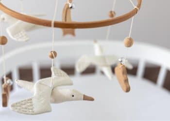 Empresa pede berço de volta depois que influenciadora perde o filho