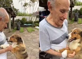Idoso com Alzheimer lembra de seu cachorro e  emociona