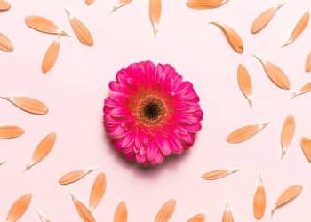 Menopausa e dores no corpo: por que acontecem e o que fazer