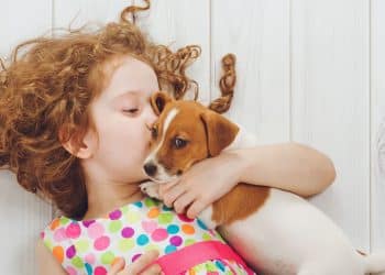 15 nomes inspirados no mundo animal para seu bebê