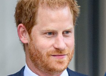 Príncipe Harry é acusado de assédio e intimidação pela presidente de ONG que fundou