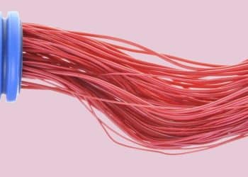 Saúde vascular feminina: saiba os principais cuidados em cada fase da vida