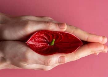 Inflamações na vulva e na vagina: saiba como ocorre e qual é o tratamento